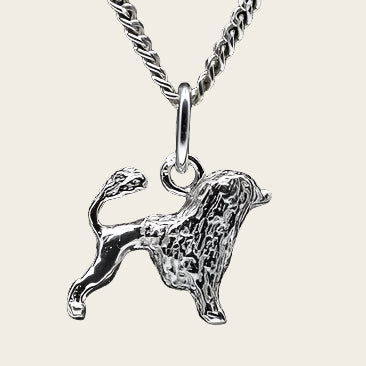 Zilveren Cao de aqua ketting hanger - klein