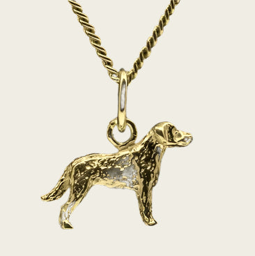 Gouden Cao da castro laboreiro ketting hanger - klein