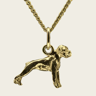 Gouden Boxer oren ongecoupeerd ketting hanger - klein