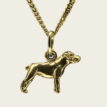 Gouden Amerikaanse Bulldog ongecoupeerd ketting hanger - klein