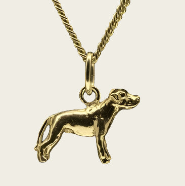 Gouden Amerikaanse Bulldog ongecoupeerd met staart ketting hanger - klein