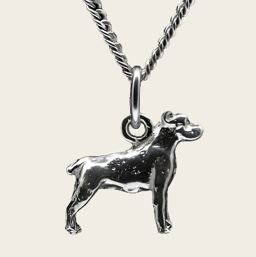 Zilveren Ca de bou ketting hanger - klein