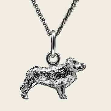 Zilveren Tatra ketting hanger - klein