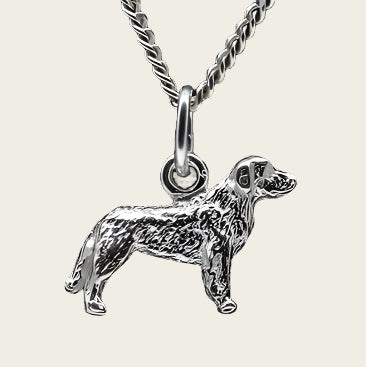 Zilveren Havawart ketting hanger - klein