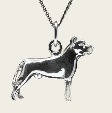 Zilveren Ca canario oren gecoupeerd ketting hanger - klein