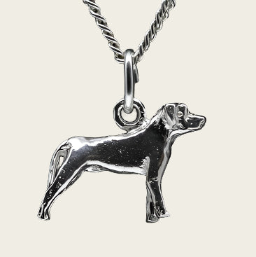 Zilveren Ca canario oren ongecoupeerd ketting hanger - klein