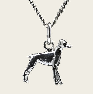 Zilveren Dwergpincher oren ongecoupeerd ketting hanger - klein