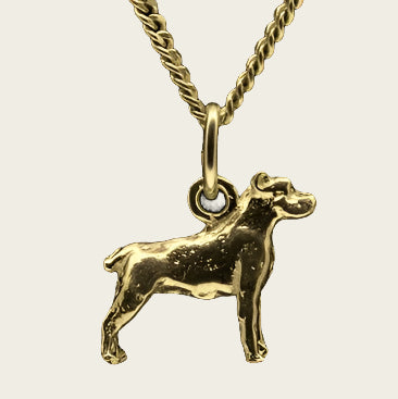 Gouden Ca de Bou ketting hanger - klein