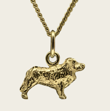 Gouden Tatra ketting hanger - klein
