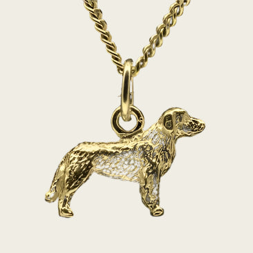 Gouden Havawart ketting hanger - klein