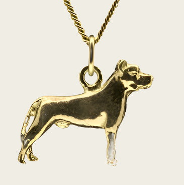 Gouden Ca Canario oren gecoupeerd ketting hanger - klein