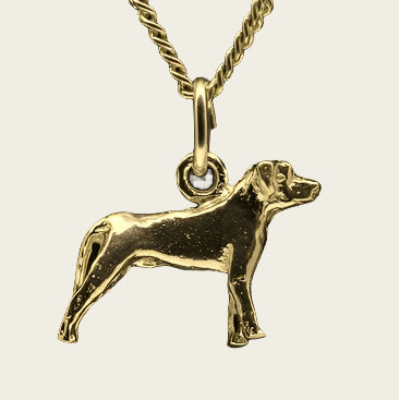Gouden Ca Canario oren ongecoupeerd ketting hanger - klein