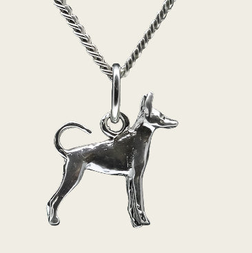 Zilveren Dwergpincher oren hoog staart ongecoupeerd ketting hanger - klein