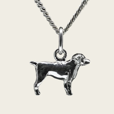 Zilveren Entlebucher sennenhond ketting hanger - klein