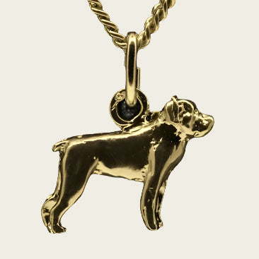 Gouden Rottweiler ketting hanger - klein