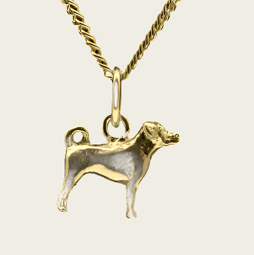 Gouden Appenzeller Sennenhond ketting hanger - klein