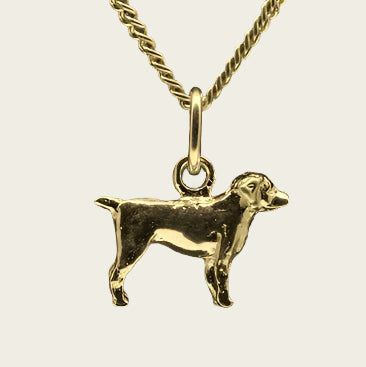 Gouden Entlebucher Sennenhond ketting hanger - klein