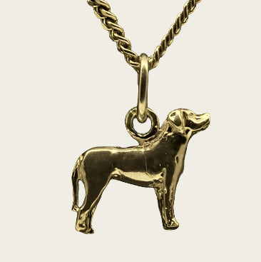 Gouden Zwitserse Sennenhond ketting hanger - klein