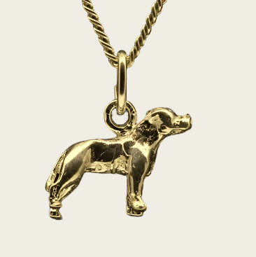 Gouden Staffordshire bull terrier oren gecoupeerd ketting hanger - klein