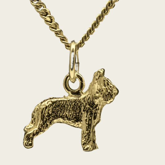 Gouden Briard oren gecoupeerd ketting hanger - klein