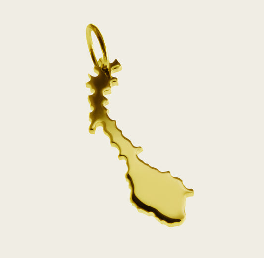 Gouden Landkaart Noorwegen ketting hanger