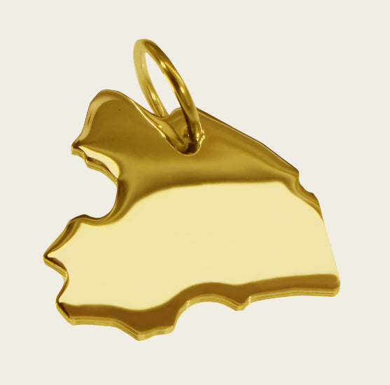 Gouden Provincie Drenthe ketting hanger