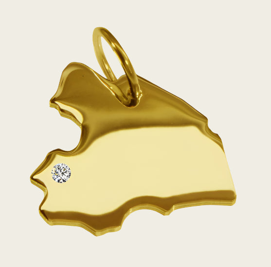 Gouden Provincie Drenthe ketting hanger
