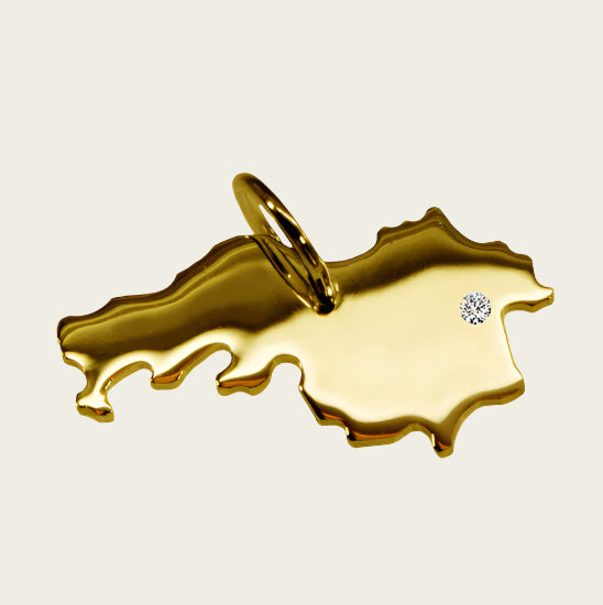 Gouden Provincie Noord Brabant ketting hanger 1921873143