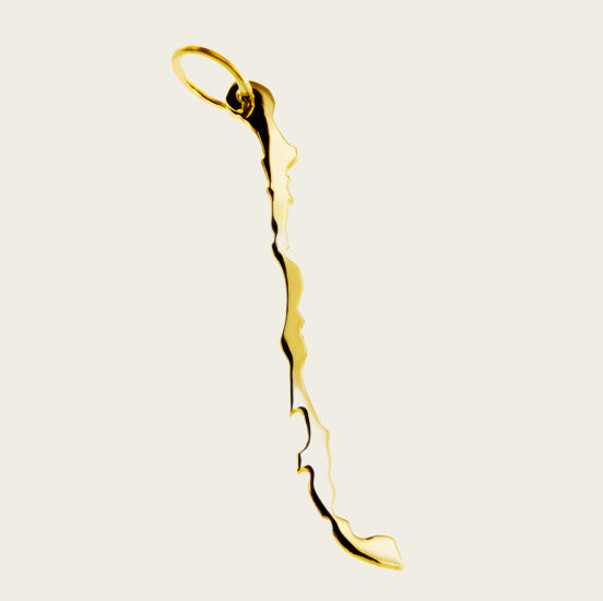 Gouden Landkaart Chili ketting hanger