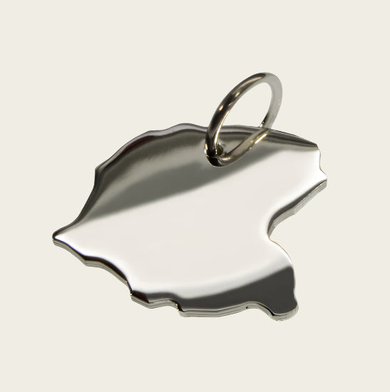 Silver Province of Friesland necklace pendant