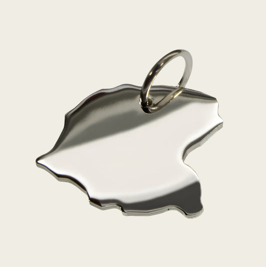 Zilveren Provincie Friesland ketting hanger