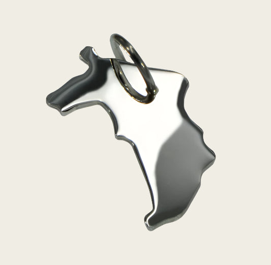 Zilveren Provincie Groningen ketting hanger