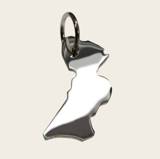Zilveren Provincie Flevoland ketting hanger
