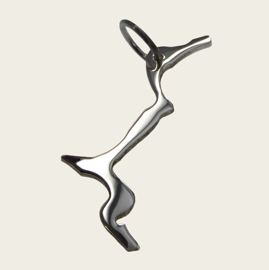 Zilveren Landkaart Lago Maggiore ketting hanger