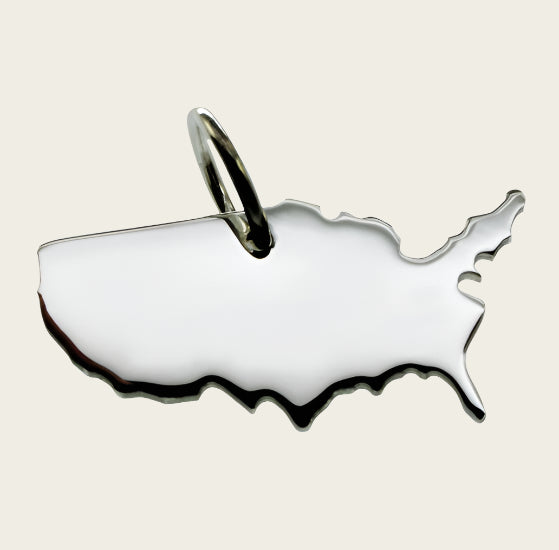 Zilveren Landkaart USA Verenigde Staten ketting hanger