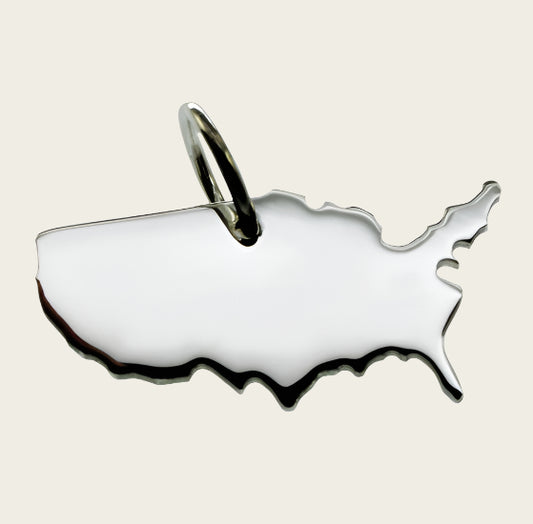 Zilveren Landkaart USA Verenigde Staten ketting hanger