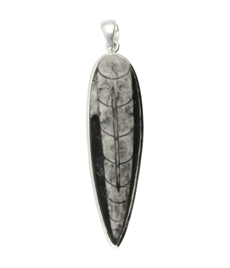 Zilveren Orthoceras groot kettinghanger