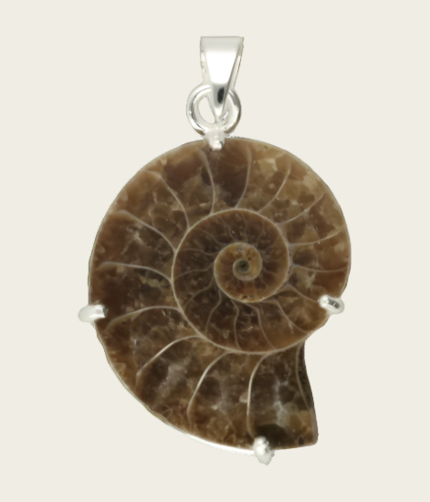 Silver Ammonite Fossilized Shell Negative Necklace Pendant