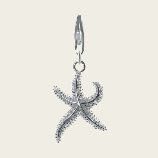 Zilveren Zeester armband bedel