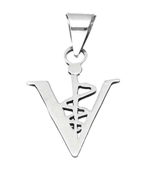 Silver Aesculapius flat necklace pendant