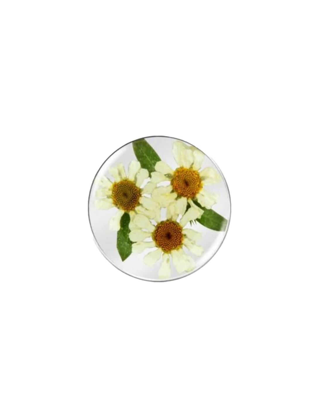 MY iMenso flora Daisy insignia 24mm