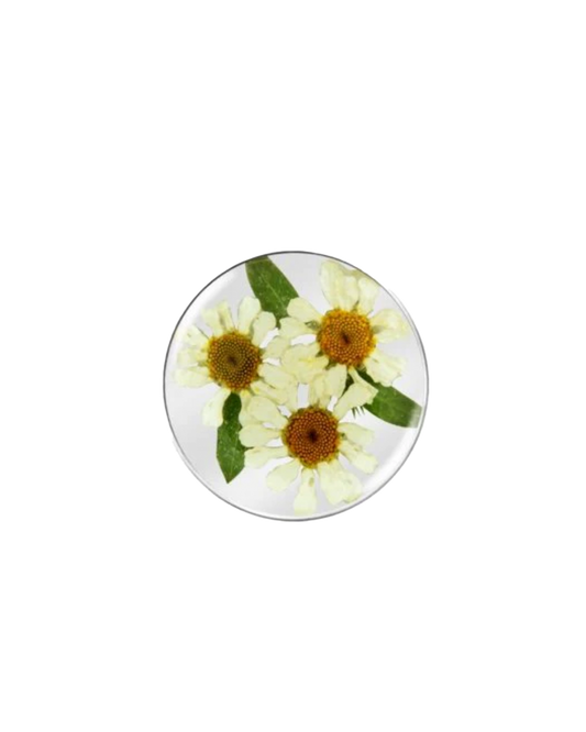 MY iMenso flora Daisy insignia 24mm