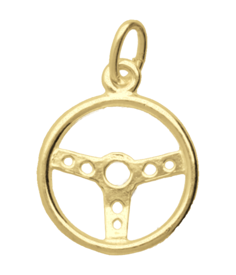 Gouden Sportstuur ketting hanger