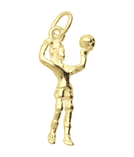 Gouden Volleybalster ketting hanger