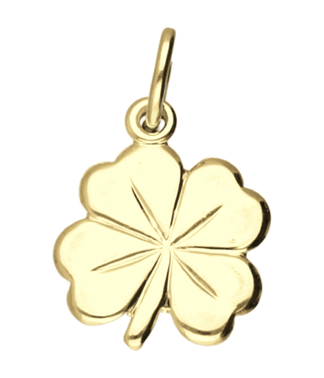 Gouden Klaverblad groot ketting hanger