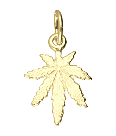 Gouden Hennepblad wiet klein ketting hanger