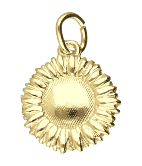 Zilveren Zonnebloem ketting hanger 1241854146