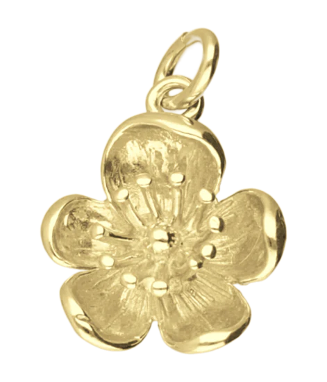 Zilveren Boterbloem ketting hanger 1241854266