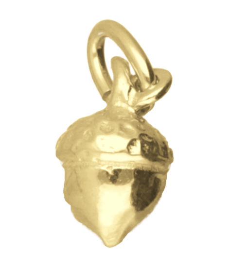 Gouden Eikel klein ketting hanger
