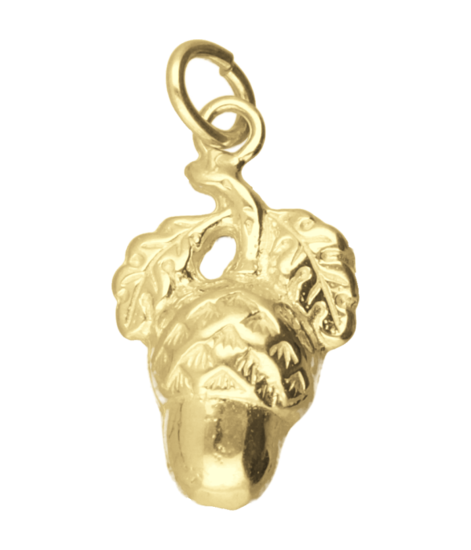 Gouden Eikel met blad ketting hanger